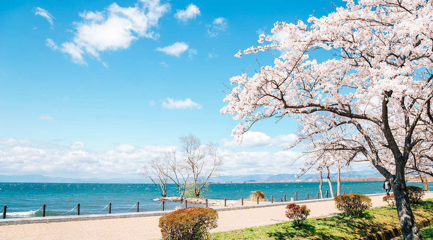 Lake Biwa: Day Trip to Hikone from Osaka