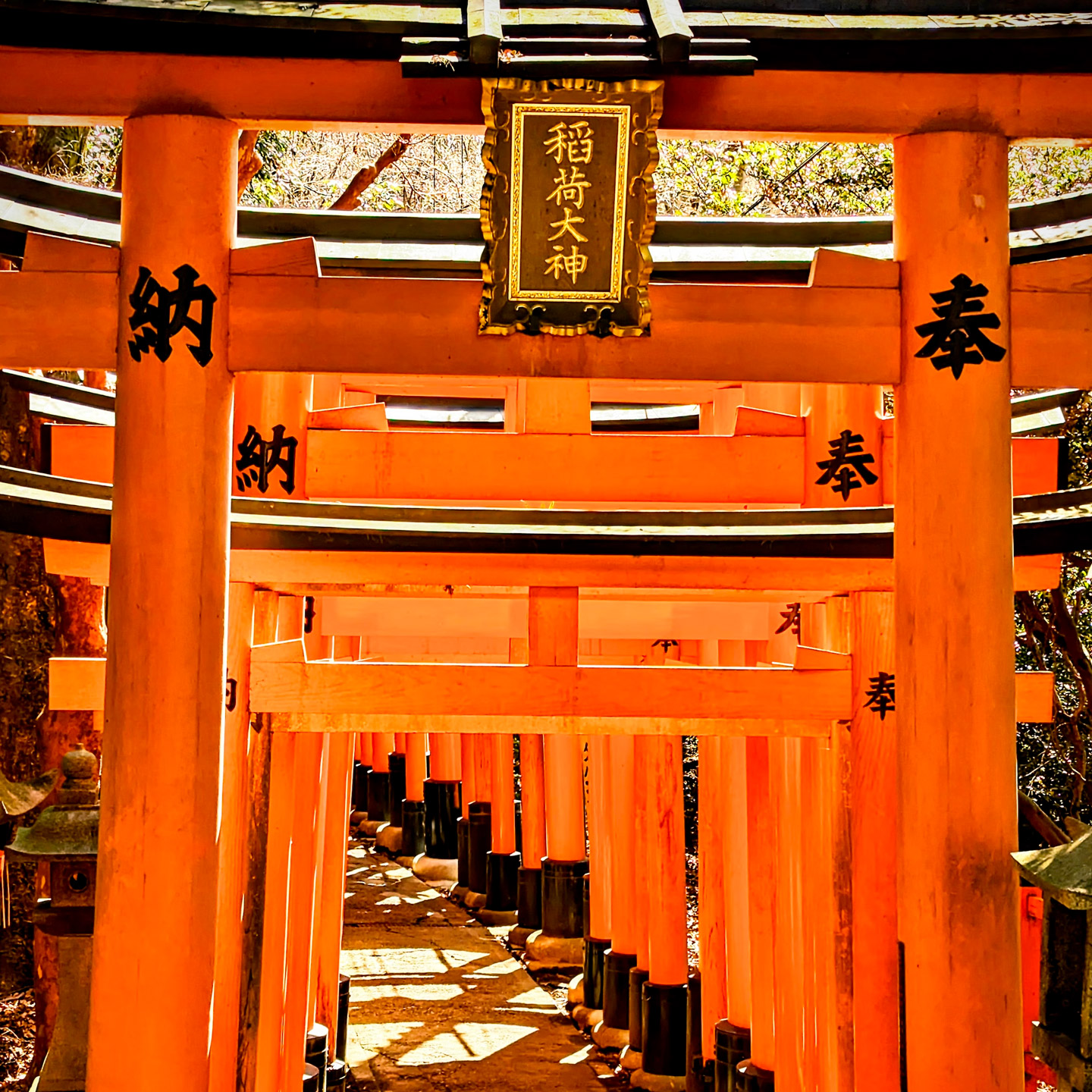 Fushimi Inari Shrine: Day Trip to Kyoto from Osaka