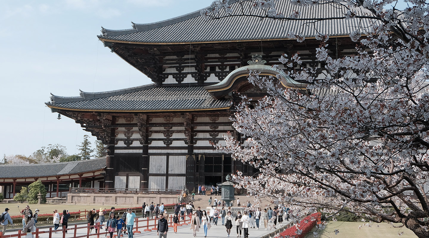 Tōdai-ji Temple: Day Trip to Nara from Osaka